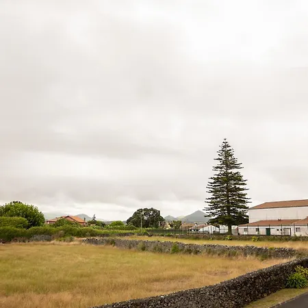 Sentidos Do Mar - Apartamento Em Sao Miguel Calhetas Exterior photo