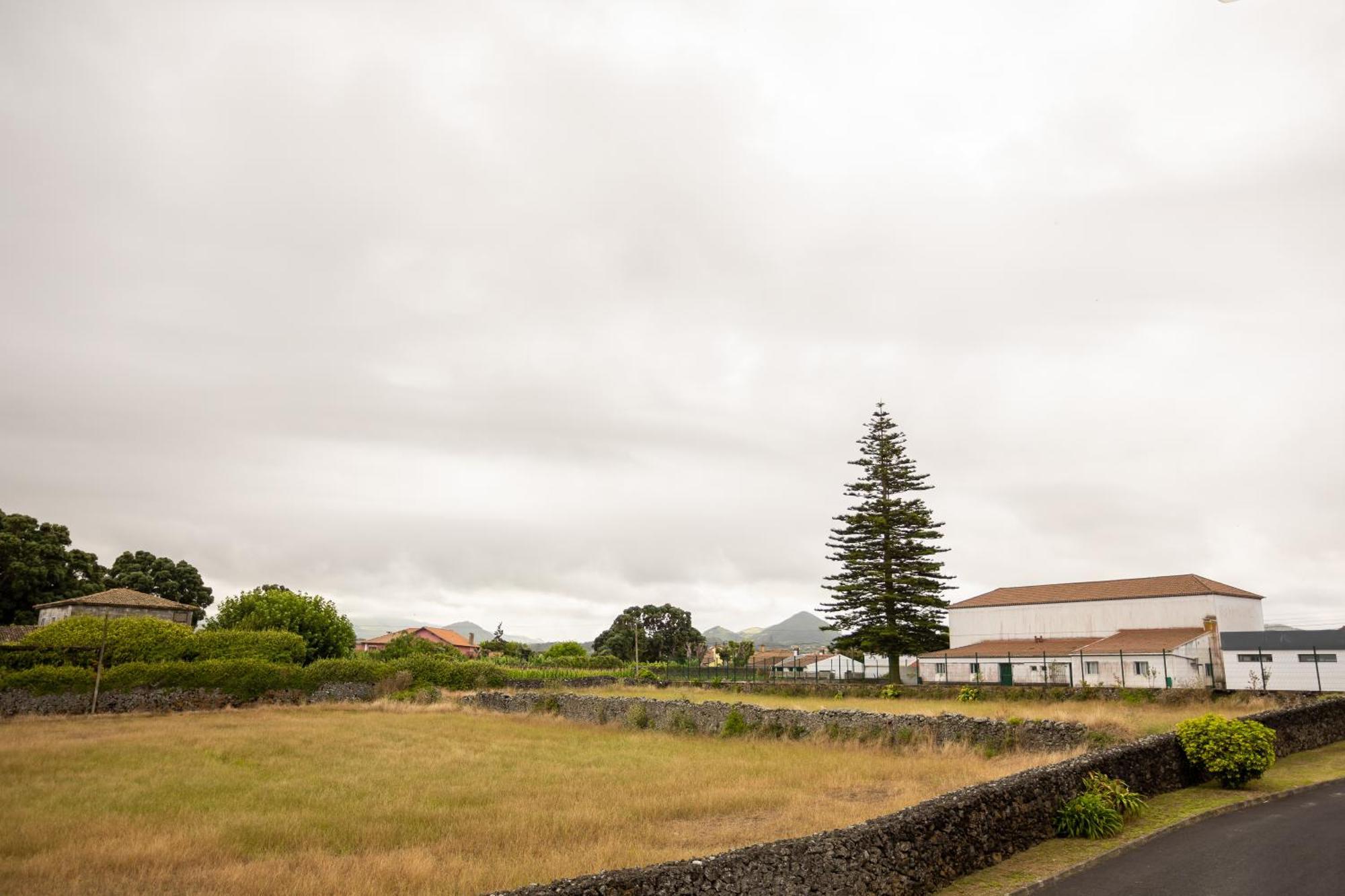 Apartment Sentidos Do Mar - Em Sao Miguel